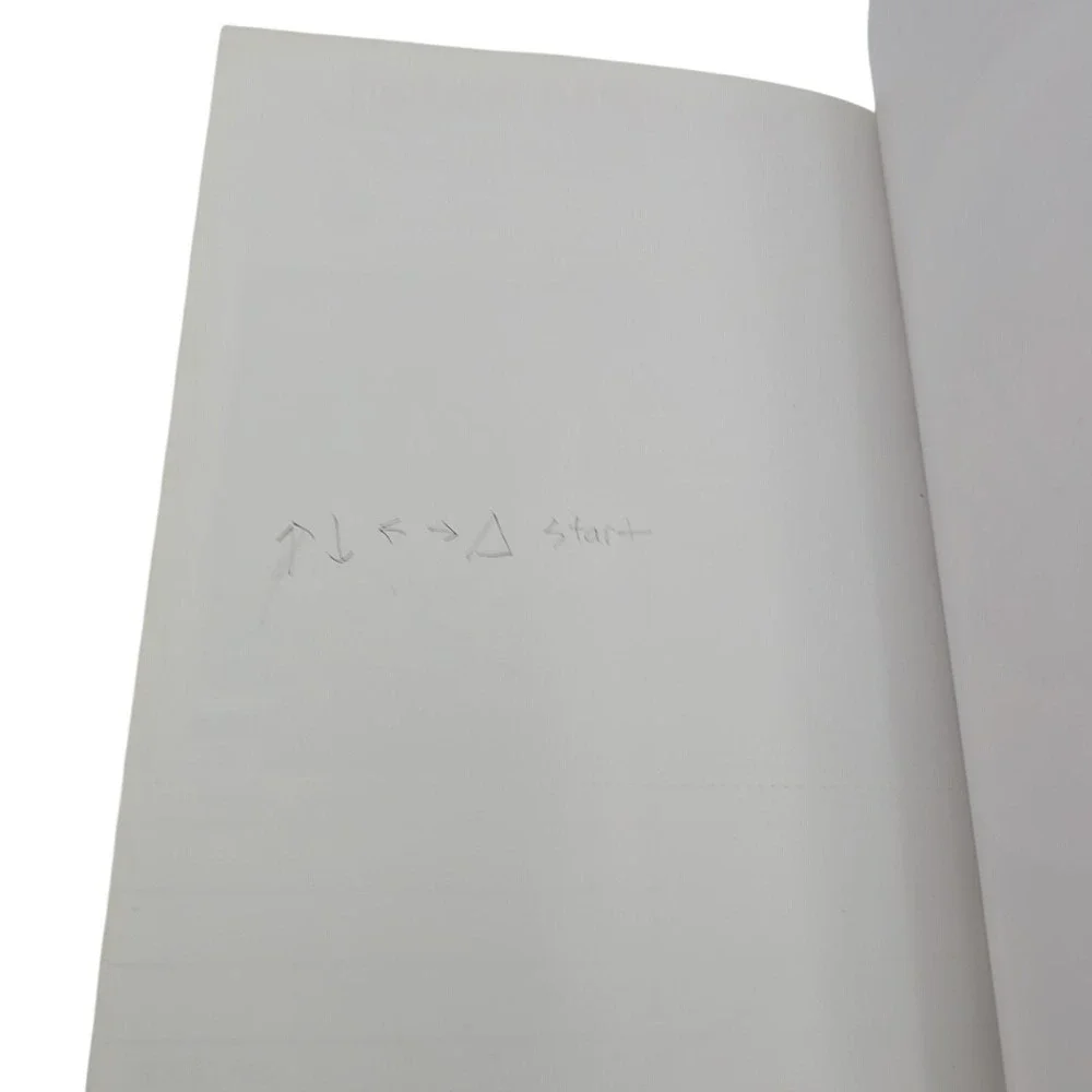 Lunar: Silver Star Story‎ Complete Official Strategy Guide PS1 W/Stickers